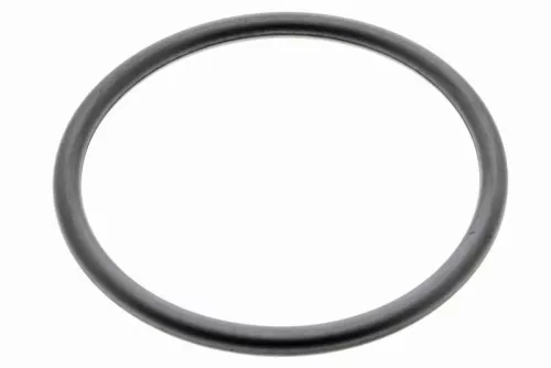 VAICO VAICO (V10-2571) Seal, air filter housing 