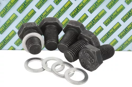 Screw Plug, oil sump