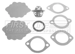 Thermostat, coolant