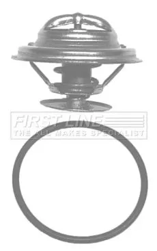 Thermostat, coolant