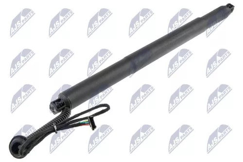 NTY NTY (AE-BM-078) Gas Spring, tray (boot/cargo bay) 