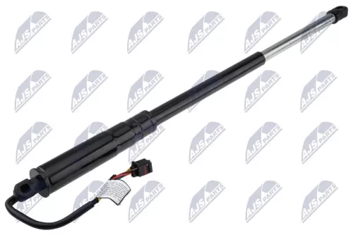 NTY NTY (AE-JG-002) Electric Motor, tailgate 