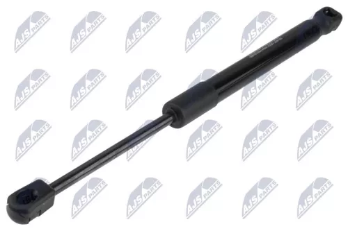 NTY NTY AE-NS-036 Gas Spring, bonnet 
