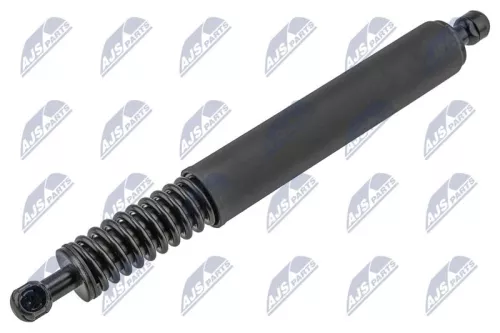 NTY NTY (AE-VW-100) Gas Spring, boot/cargo area 