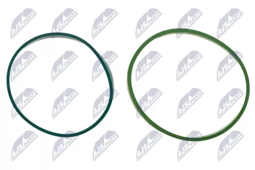 NTY NTY (BKS-BM-027A) Gasket Set, intake manifold 