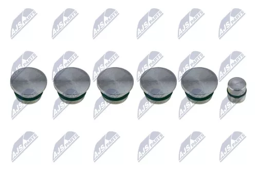 NTY NTY BKS-FT-009 Intake Manifold Module 