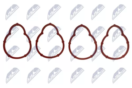 NTY NTY (BKS-RE-005) Gasket Set, intake manifold 
