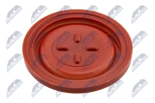 Cylinder Head Cover