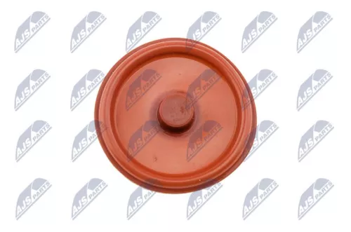 Cylinder Head Cover