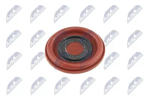 Cylinder Head Cover