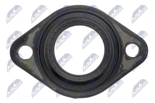 NTY NTY BWP-PL-002 Gasket, cylinder head cover 