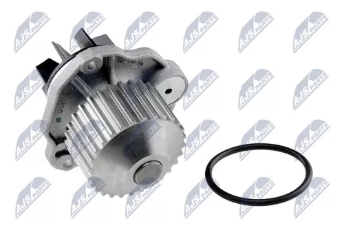 NTY NTY CPW-RE-042 Water Pump, engine cooling 