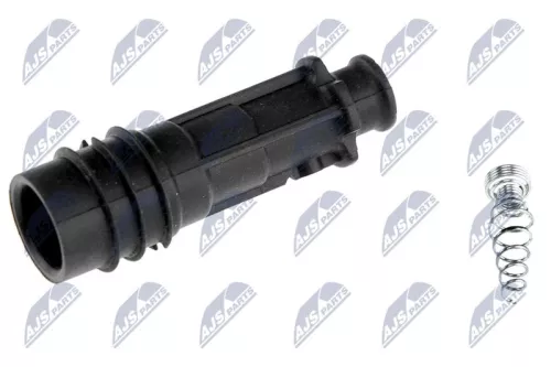 Plug, coil