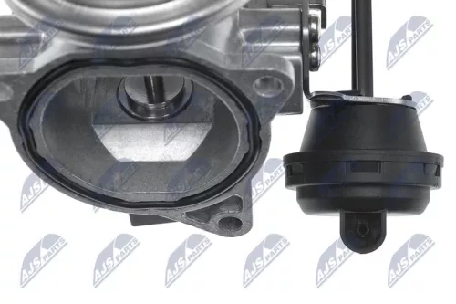 NTY NTY (EGR-AU-004) EGR Valve 