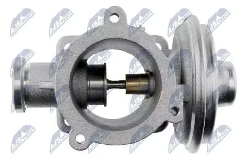 NTY NTY (EGR-BM-003) EGR Valve 
