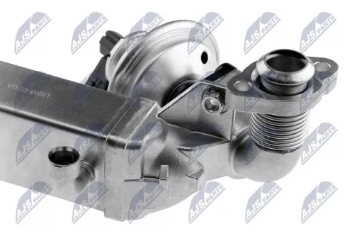 NTY NTY (EGR-BM-011A) EGR Valve 
