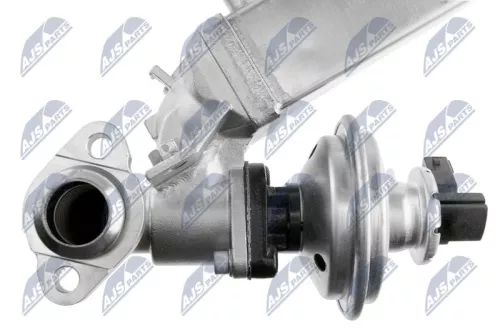 NTY NTY (EGR-BM-011A) EGR Valve 
