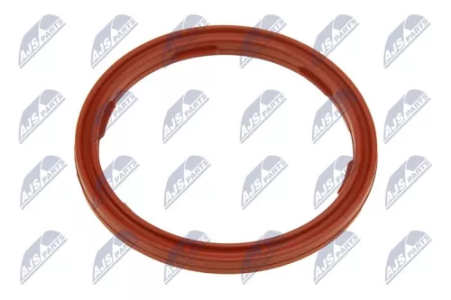 NTY NTY EPO-BM-010 Seal Ring, engine oil level sensor 