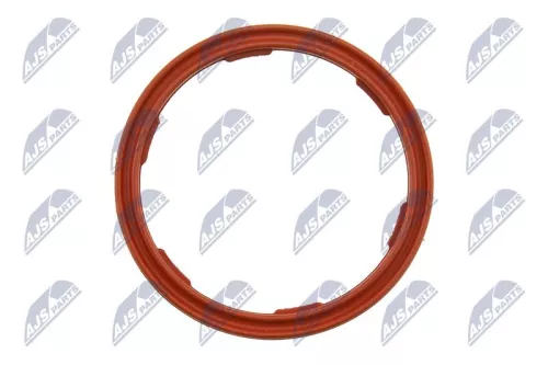 NTY NTY EPO-BM-010 Seal Ring, engine oil level sensor 