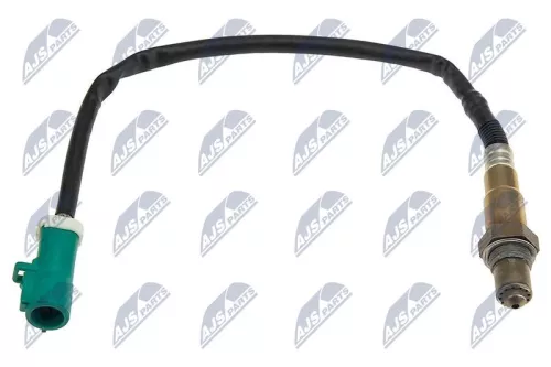 Oxygen Sensor