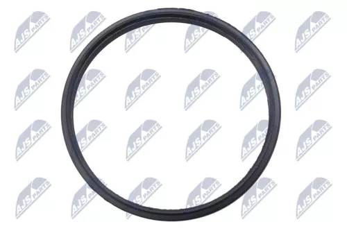 NTY NTY EZC-PL-151 Seal, timing chain tensioner 