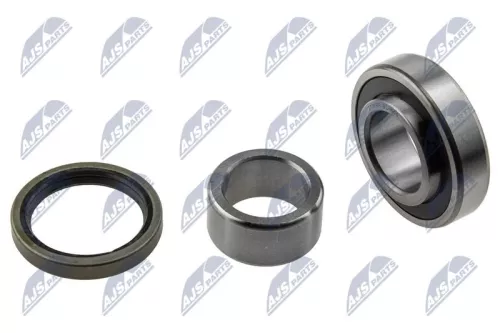 Rear NTY Wheel Bearing Kit