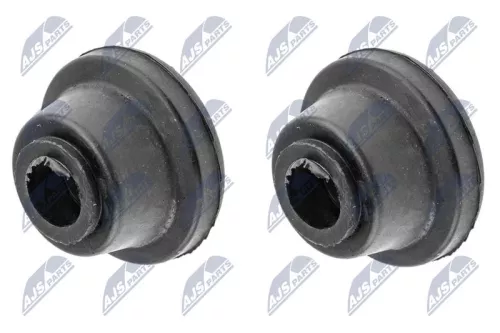 NTY NTY (ZGS-SU-015) Mounting, control/trailing arm 