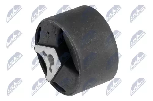 rear NTY Engine Mounting