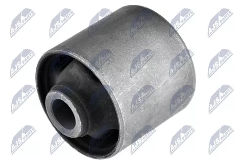 NTY NTY (ZTT-SU-009B) Mounting, control/trailing arm 