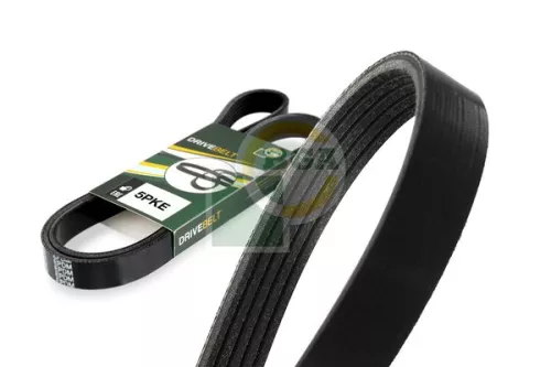 BGA BGA 5PK595E V-Ribbed Belt 