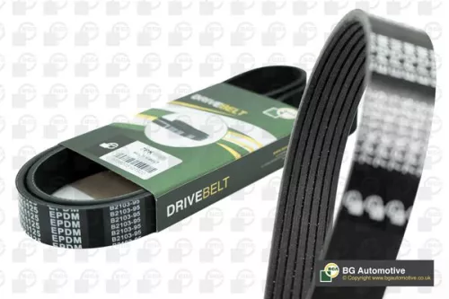 BGA V-Ribbed Belt (7PK2418)