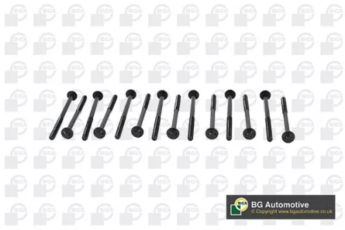 Cylinder Head Bolt Set