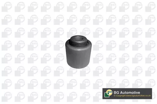 BGA BGA (BU0960) Mounting, control/trailing arm 