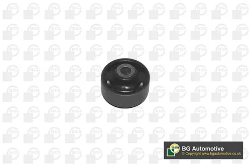 Mounting, control/trailing arm