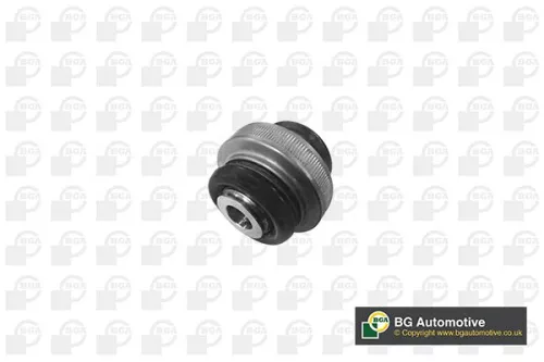Mounting, control/trailing arm