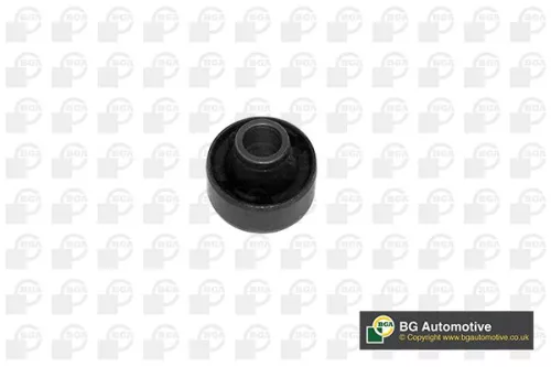 Mounting, control/trailing arm