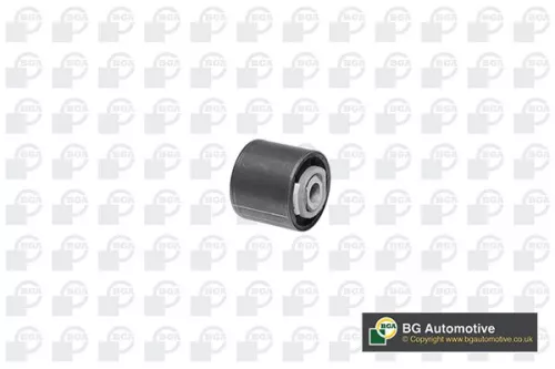 Mounting, control/trailing arm