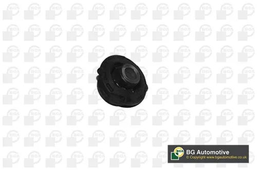Mounting, control/trailing arm