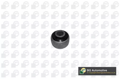 Mounting, control/trailing arm