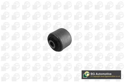 Mounting, control/trailing arm