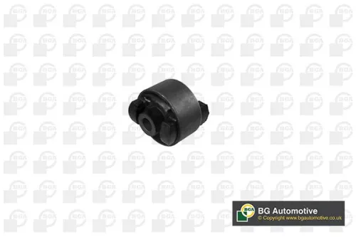 Mounting, control/trailing arm