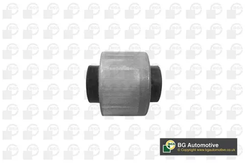 BGA BGA (BU0117) Mounting, control/trailing arm 