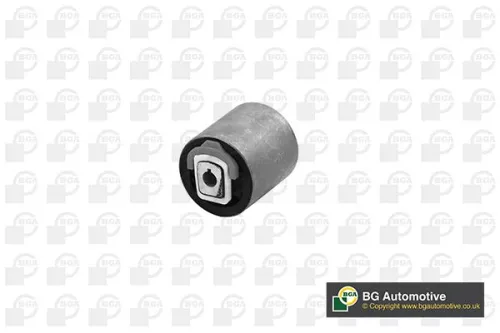 Mounting, control/trailing arm