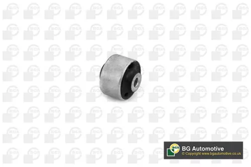 Mounting, control/trailing arm