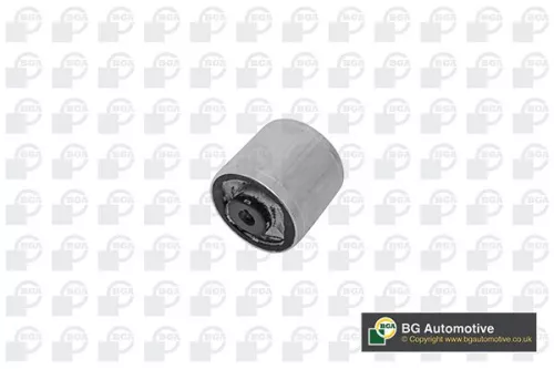 BGA BGA (BU0133) Mounting, control/trailing arm 