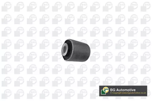 Mounting, control/trailing arm