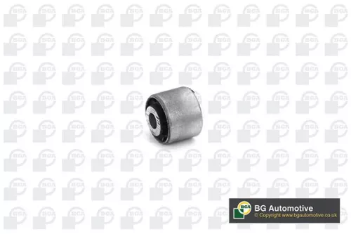 Mounting, control/trailing arm