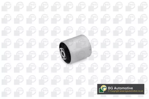 Mounting, control/trailing arm