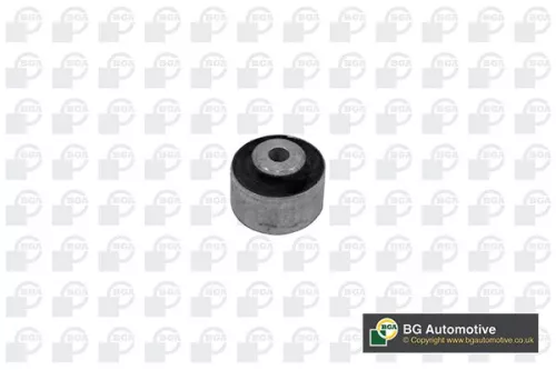 Mounting, control/trailing arm