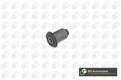 Mounting, control/trailing arm